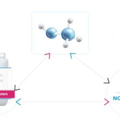 How are Composition, PCN Notification and UFI Codes connected?