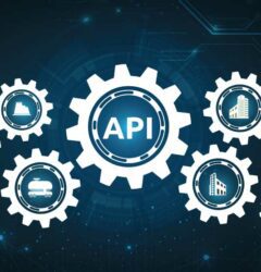 The Role of APIs in Businesses – A Series